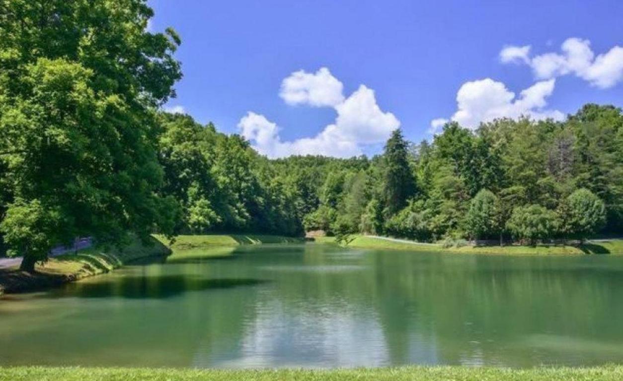 סביירוויל Mountain Lake Lodge, Hot Tub, Theater Room, 1089 Free Tickets Each Paid Day, Dollywood And More מראה חיצוני תמונה