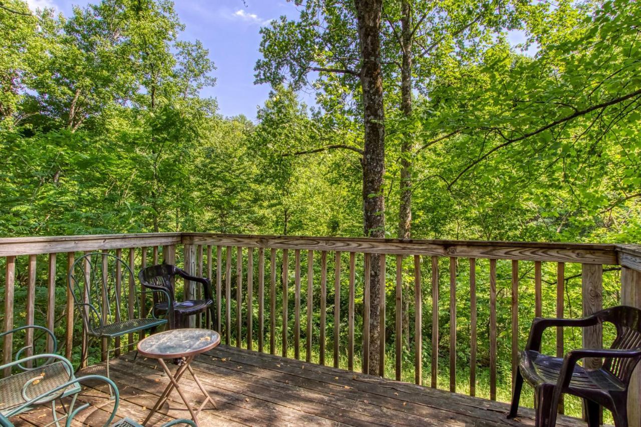 סביירוויל Mountain Lake Lodge, Hot Tub, Theater Room, 1089 Free Tickets Each Paid Day, Dollywood And More מראה חיצוני תמונה