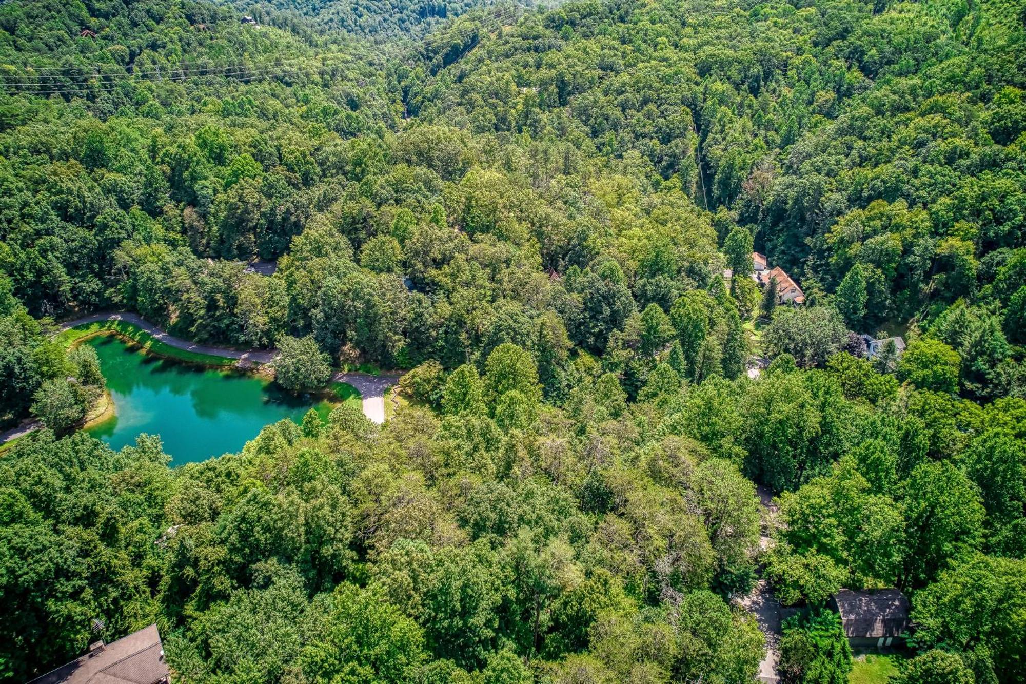 סביירוויל Mountain Lake Lodge, Hot Tub, Theater Room, 1089 Free Tickets Each Paid Day, Dollywood And More מראה חיצוני תמונה