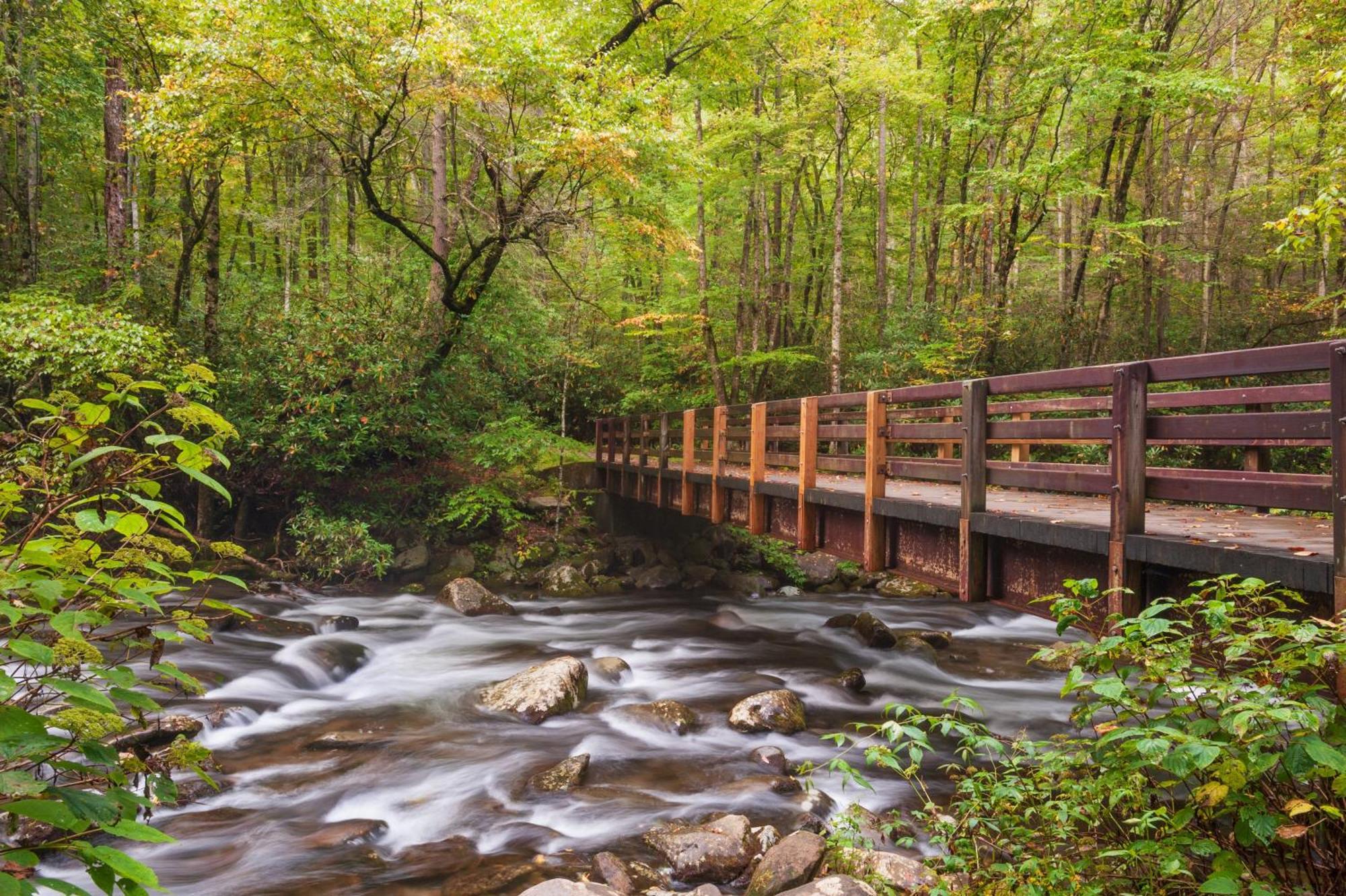 סביירוויל Mountain Lake Lodge, Hot Tub, Theater Room, 1089 Free Tickets Each Paid Day, Dollywood And More מראה חיצוני תמונה